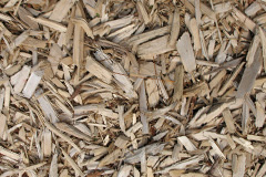 biomass boilers High Brooms